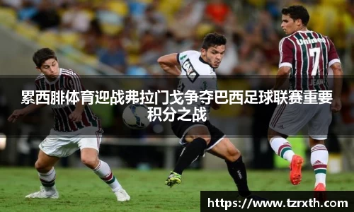 累西腓体育迎战弗拉门戈争夺巴西足球联赛重要积分之战