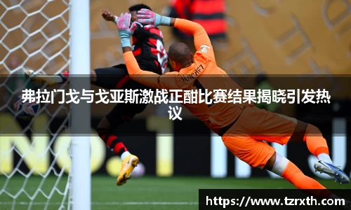 弗拉门戈与戈亚斯激战正酣比赛结果揭晓引发热议